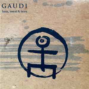 Gaudi - Bass, Sweat & Tears FLAC