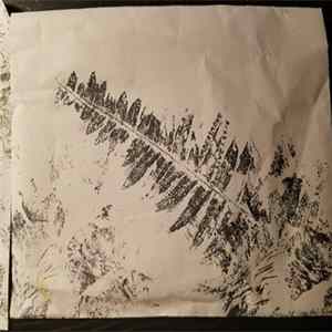 Ambersmoke - Ambersmoke Live 1.27.2016 FLAC