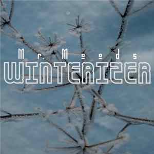 Mr. Moods - Winterizer FLAC