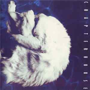 Chapterhouse - Whirlpool FLAC