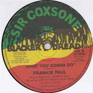 Frankie Paul / Horace Andy - What You Gonna Do / My Sound FLAC
