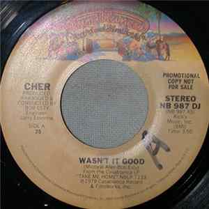 Cher - Wasn't It Good / It's Too Late To Love Me Now FLAC