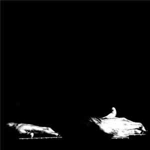 Dirar Kalash - كالقابض على الجمر = Like Holding Onto Hot Coal FLAC