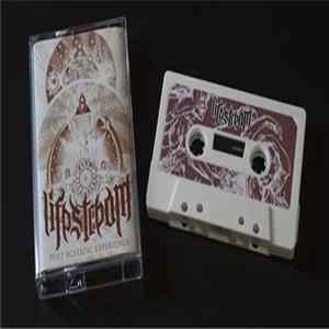 Lifestream - Post Ecstatic Experience FLAC