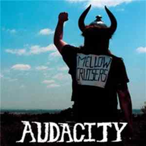 Audacity - Mellow Cruisers FLAC