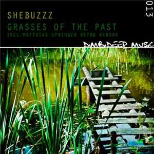 Shebuzzz - Grasses Of The Past FLAC