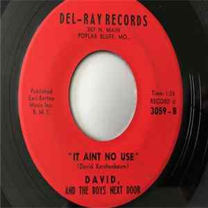 David And The Boys Next Door - Spring Fever / It Aint No Use FLAC