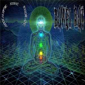 Bowel Rot, Apocalyptic Noise Syndicate - 2 Way Split FLAC