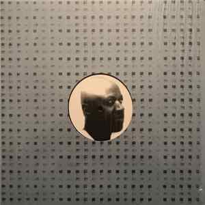 Laraaji - Laraaji Remixes FLAC