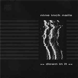 Nine Inch Nails - Down In It FLAC