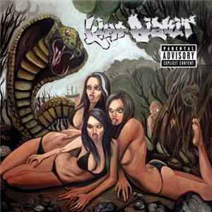 Limp Bizkit - Gold Cobra FLAC