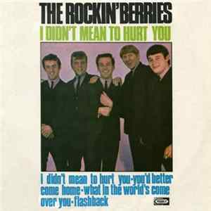 The Rockin' Berries - I Didn't Mean To Hurt You FLAC