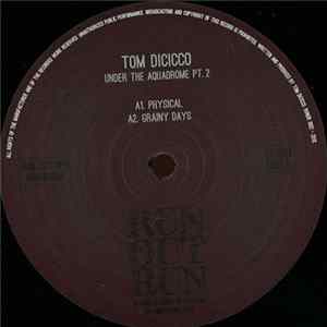 Tom Dicicco - Under The Aquadrome Pt. 2 FLAC