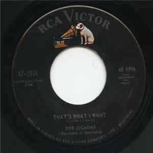 The Cicadas - That's What I Want FLAC