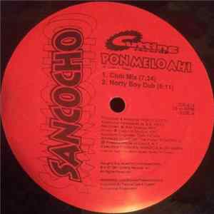 Sancocho - Pon Melo Ahi / Como Te Mueve FLAC