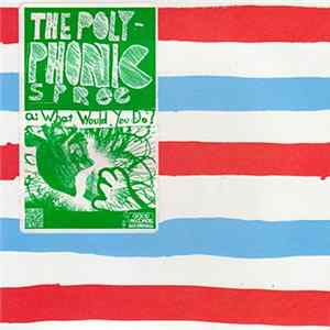 The Polyphonic Spree - What Would You Do? FLAC