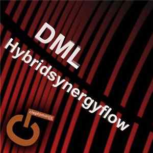 DML - Hybridsynergyflow FLAC
