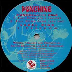 Punching - Fall Down FLAC