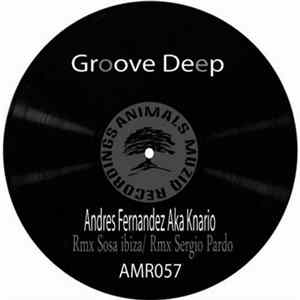 Andres Fernandez - Groove Deep FLAC