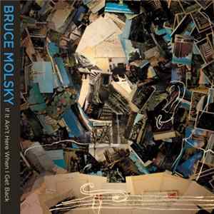 Bruce Molsky - If It Ain't Here When I Get Back FLAC