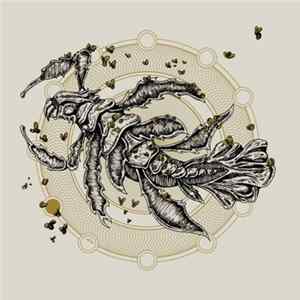 Rites - Barren FLAC