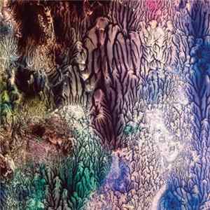 The Womb - The Womb FLAC