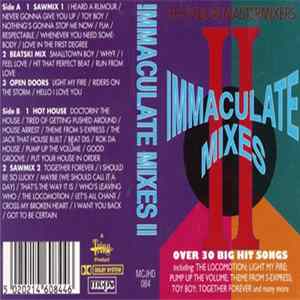 The Vision Mastermixers - Immaculate Mixes II FLAC