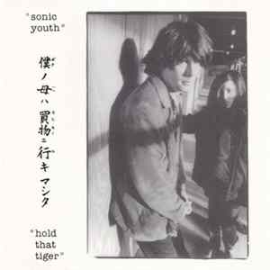 Sonic Youth - Hold That Tiger FLAC