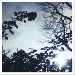 Pillow - Flowing Seasons FLAC