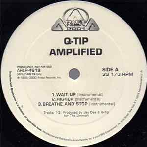 Q-Tip - Amplified (Instrumentals) FLAC