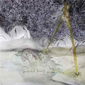 Brandon Patton - Underhill Downs FLAC
