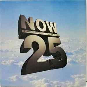 Various - Now That's What I Call Music! 25 FLAC