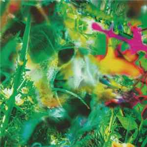 The Young Gods - Second Nature FLAC
