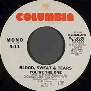 Blood, Sweat & Tears - You're The One FLAC