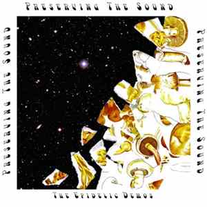 Preserving The Sound - The Epidelic Demos FLAC