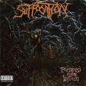 Suffocation - Pierced From Within FLAC