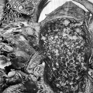 TOAD BIRTH - Tactile Organ Horror Story FLAC