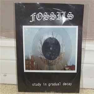 Fossils - Study In Gradual Decay FLAC