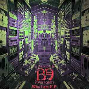 Bearded Electronics - Who I am FLAC