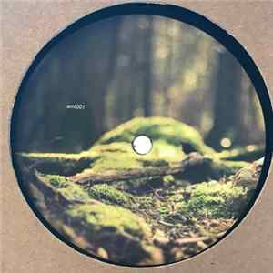 Various - Amt001 FLAC