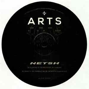 Netsh - Artificial Sin FLAC