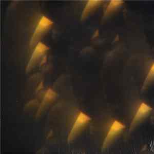 Jarvis Cocker - Likely Stories FLAC