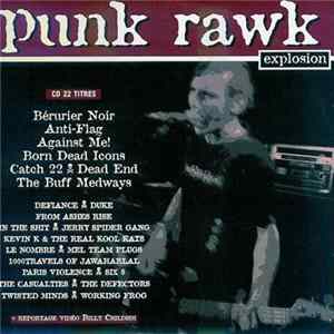 Various - Punk Rawk Explosion #14 FLAC