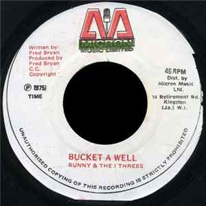 Bunny & I Threes, The - Bucket A Well FLAC