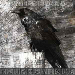Steam flow - Krummavisur FLAC