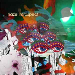 Dereck Higgins - Haze Introspect FLAC