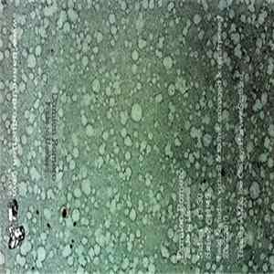 Damion Romero - Fade To Useless FLAC