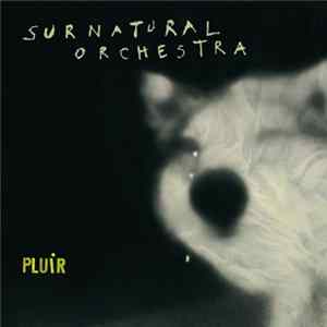 Surnatural Orchestra - Pluir FLAC