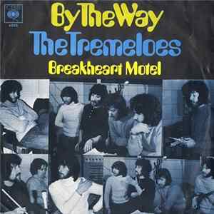 The Tremeloes - By The Way FLAC