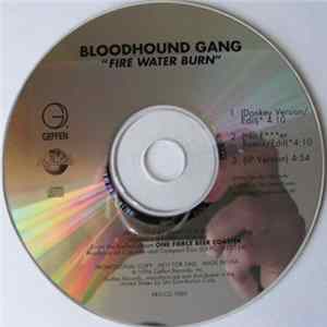 Bloodhound Gang - Fire Water Burn FLAC